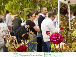 Festival Mar de Tethys 2026 - Bodega Vetas